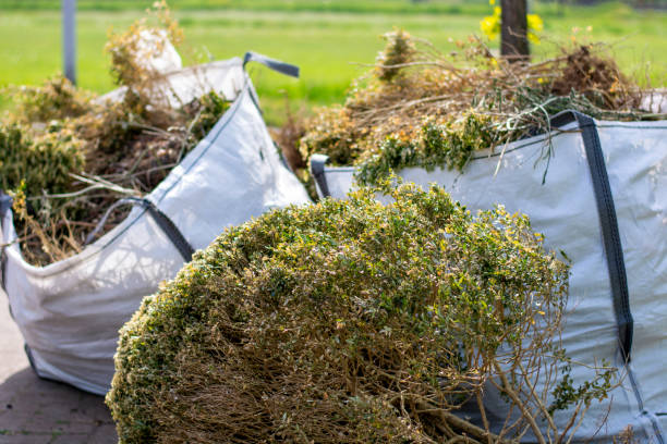 Best Furniture Removal  in Lake Mack Forest Hills, FL
